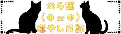 のら猫(ΦωΦ)癒やし日記