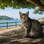 青い海を背景に木製ベンチで振り向くキジトラ猫のイメージ画像