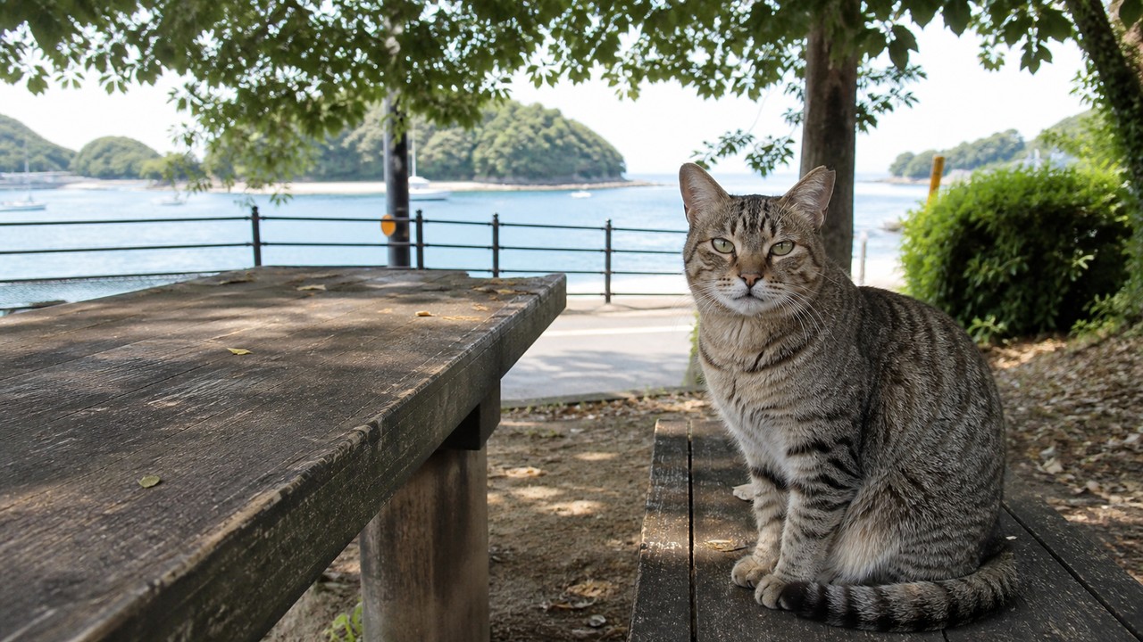 港を望む木陰のテーブル横に座るキジトラ猫のイメージ画像