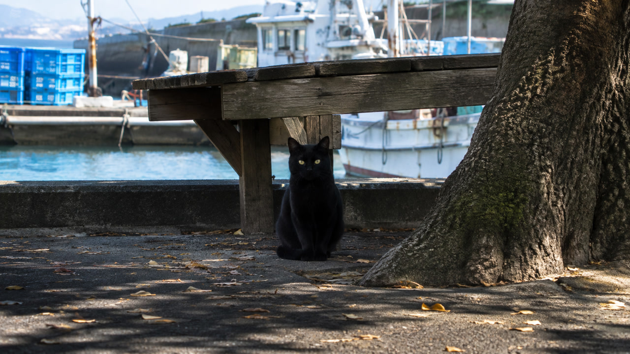 港の大木とベンチのそばに座る黒猫のイメージ画像