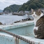 淡い水色の船で振り返るキジ白猫のイメージ画像