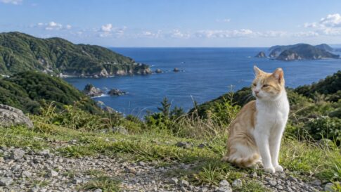 海を望む展望所に座る茶白猫のイメージ画像